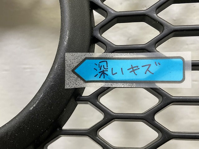 新品!ザ・ビートル 16系/16CBZ 純正 フロント グリル/ラジエーターグリル 1 C0 807 681G 1C0807681G01C 素地 フォルクスワーゲン(148327)