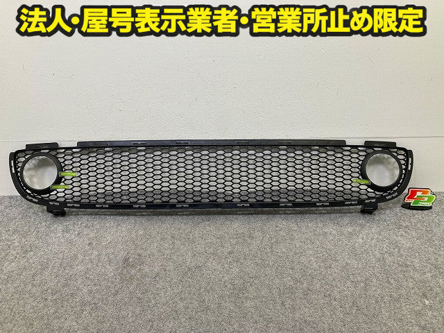 新品!ザ・ビートル 16系/16CBZ 純正 フロント グリル/ラジエーターグリル 1 C0 807 681G 1C0807681G01C 素地 フォルクスワーゲン(148328)