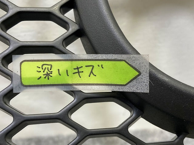 新品!ザ・ビートル 16系/16CBZ 純正 フロント グリル/ラジエーターグリル 1 C0 807 681G 1C0807681G01C 素地 フォルクスワーゲン(148328)