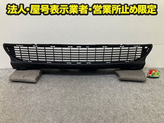 新品!Aクラス W169/2004-2013 純正 フロント グリル ラジエーター センター A169 885 00 23 1698850023 素地 メルセデスベンツ(148336)