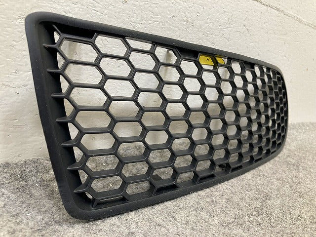 新品!ニュービートル 9C系 純正 右 フロント グリル/ラジエーターグリル 1C0 807 684 A 1C0807684A01C 素地 フォルクスワーゲン(148379)