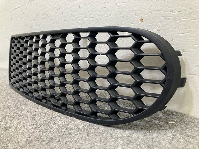 新品!ニュービートル 9C系 純正 右 フロント グリル/ラジエーターグリル 1C0 807 684 A 1C0807684A01C 素地 フォルクスワーゲン(148380)