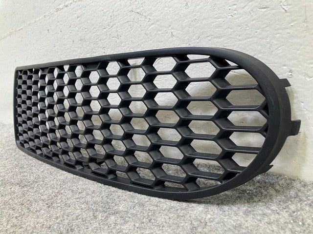 新品!ニュービートル 9C系 純正 右 フロント グリル/ラジエーターグリル 1C0 807 684 A 1C0807684A01C 素地 フォルクスワーゲン(148381)