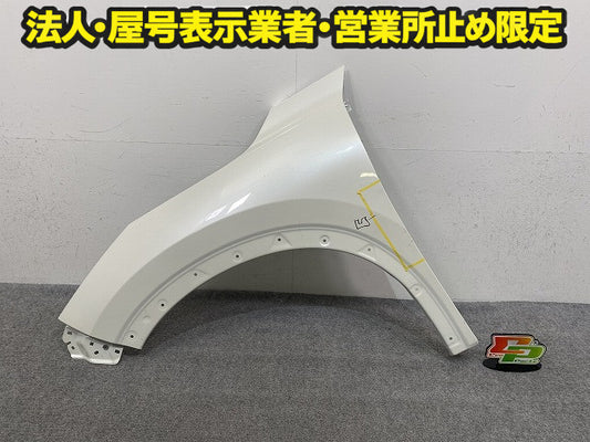エクストレイル/X-TRAIL T33/SNT33 純正 左 フロント フェンダー LH ホワイト 日産(149344)