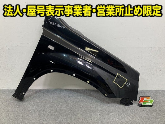 エクストレイル/X-TRAIL /T31/DNT31/NT31/TNT31 右 フロント フェンダ― ダイヤモンドブラック G41 日産(149776)