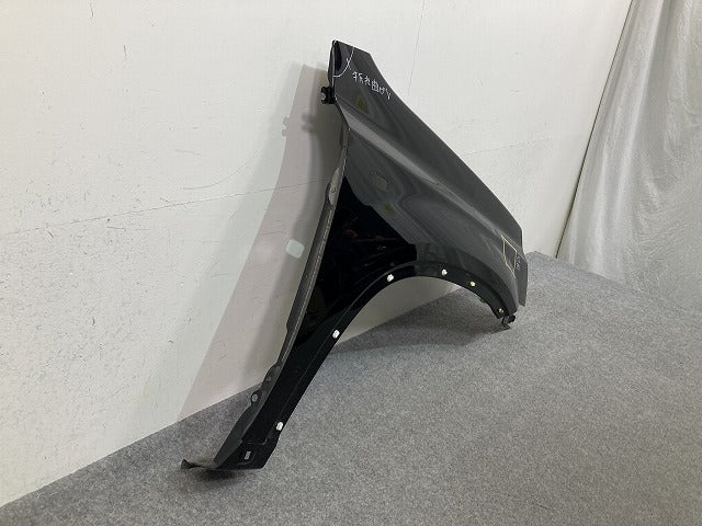 エクストレイル/X-TRAIL /T31/DNT31/NT31/TNT31 右 フロント フェンダ― ダイヤモンドブラック G41 日産(149776)