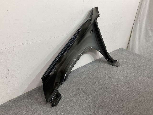 エクストレイル/X-TRAIL /T31/DNT31/NT31/TNT31 右 フロント フェンダ― ダイヤモンドブラック G41 日産(149776)