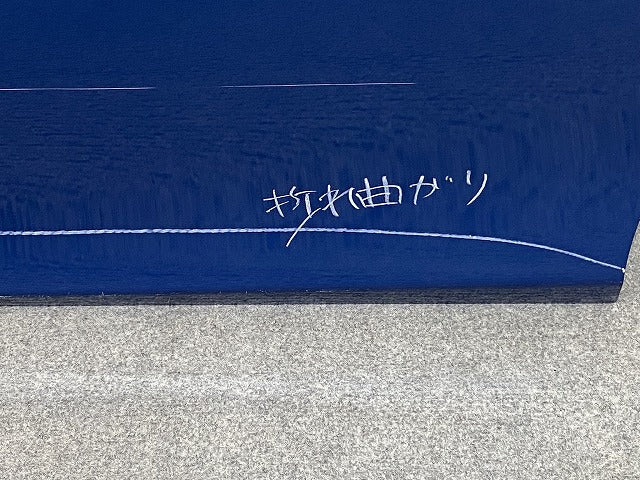 シエンタ 170系/NSP170G/NCP175G/NHP170G 純正 左 フロント ドア バイザー付 LH コバルトブルーメタリック 8T7 トヨタ(151601)
