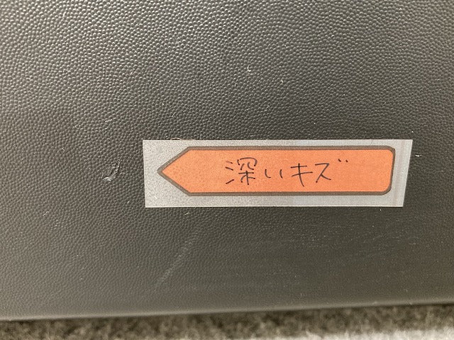新品!キャプチャー 純正 左 フロント ドア サイドパネル ストリップ 808773776R 808778098R 素地 ルノー(152213)