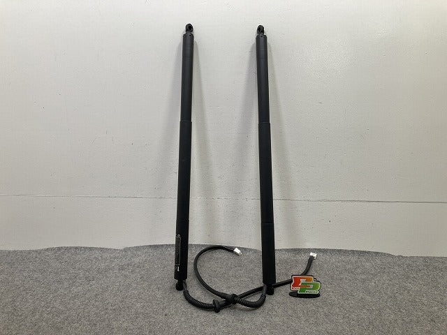 ヴォクシー/ノア 90系 ZWR90W/95W/MZRA90W/95W 純正 左右 リア ゲートダンパー パワーゲート 2点セット 68910-V1014/68920-V1014(152541)