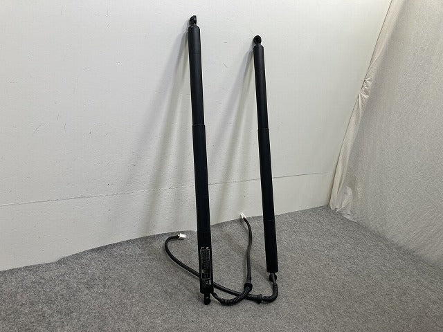 ヴォクシー/ノア 90系 ZWR90W/95W/MZRA90W/95W 純正 左右 リア ゲートダンパー パワーゲート 2点セット 68910-V1014/68920-V1014(152541)