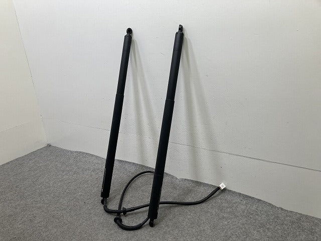 ヴォクシー/ノア 90系 ZWR90W/95W/MZRA90W/95W 純正 左右 リア ゲートダンパー パワーゲート 2点セット 68910-V1014/68920-V1014(152541)