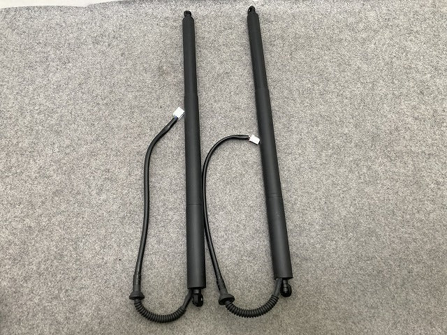 ヴォクシー/ノア 90系 ZWR90W/95W/MZRA90W/95W 純正 左右 リア ゲートダンパー パワーゲート 2点セット 68910-V1014/68920-V1014(152541)